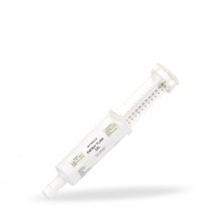 SERINGUE ENERGY FLASH 60ML