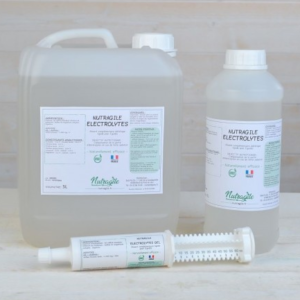 SERINGUES ELECTROLYTES 60ML