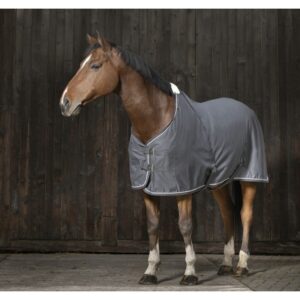 CHEMISE EQUITHÈME CHIC