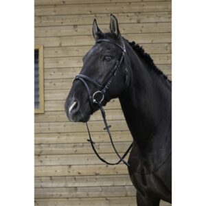 BRIDON MUSEROLLE COMBINEE RIDING WORLD