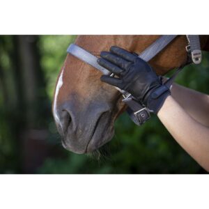 GANTS EQUITHEME CUIR SOFT