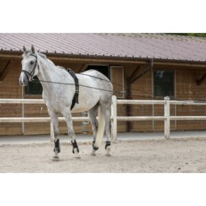 LONGUES RENES RIDING WORLD CUIR/CORDE NOIR