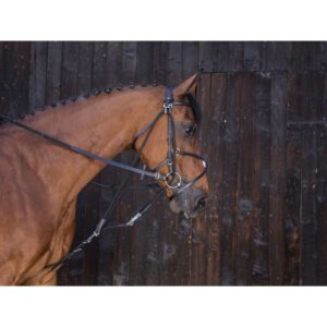 GOGUE A POULIES RIDING WORLD