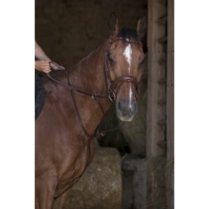 MARTINGALE ANNEAUX NORTON PRO