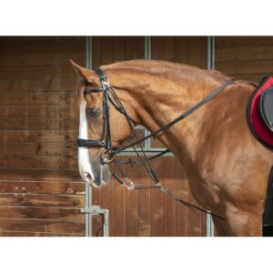 GOGUE NORTON PRO POULIE
