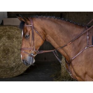 COLLIER DE CHASSE ERIC THOMAS HYBRID
