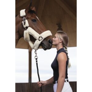 LICOL EQUITHEME TEDDY