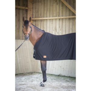 CHEMISE PADDOCK SECHANTE