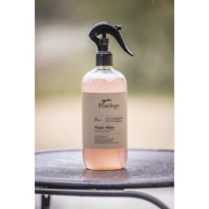 LUSTRANT Magic Shine 500ML