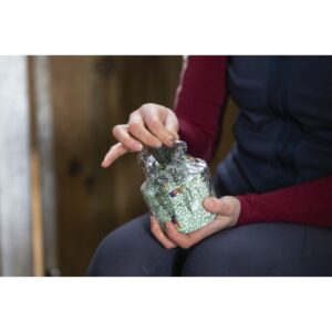 LIKIT PIERRE MYRTILLE/650G