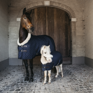 COUVERTURE DE PRESENTATION KENTUCKY