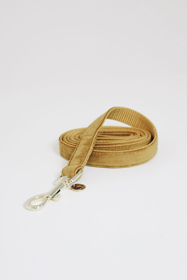 LAISSE VELVET KENTUCKY
