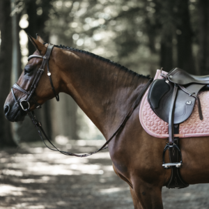 TAPIS KENTUCKY VELVET JUMPING