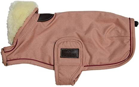 COUVERTURE CHIEN KENTUCKY IMPERMEABLE