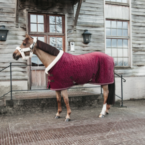 COUVERTURE SHOW RUG VELVET
