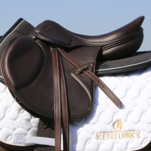AMORTISSEUR KENTUCKY ANATOMIQUE