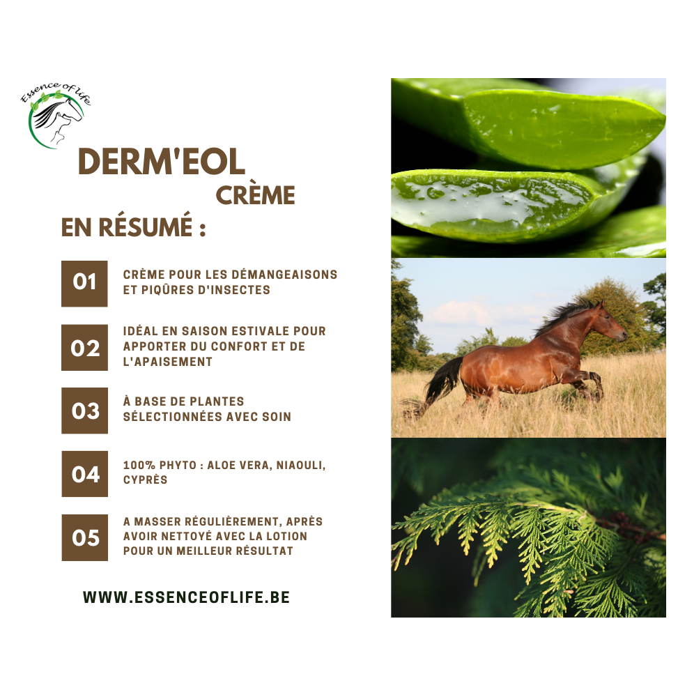 DERM'EOL – Image 2