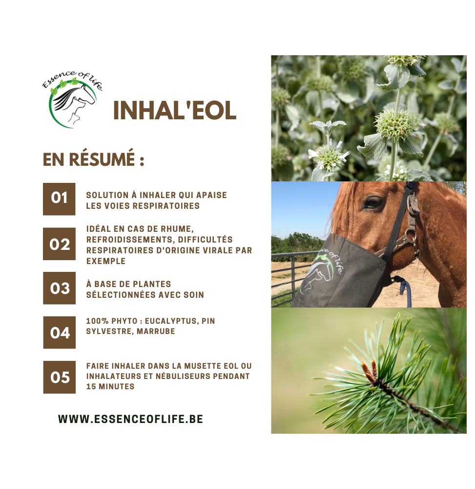 INHAL'EOL 100ML – Image 2