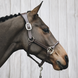 LICOL ANATOMIQUE CUIR VEGAN KENTUCKY