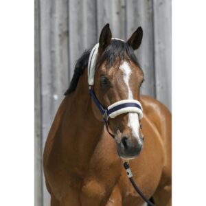 LICOL MOUTON RIDING WORLD