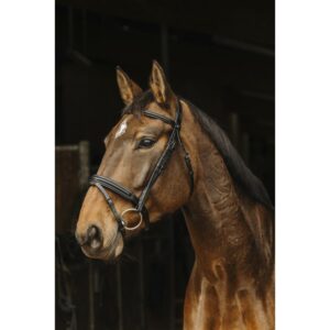 BRIDON NORTON APOPHYSE