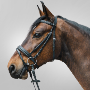 BRIDON DIAMOND WALDHAUSEN