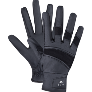 GANTS WINTER WALDHAUSEN