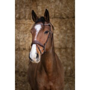BRIDON NORTON MISS