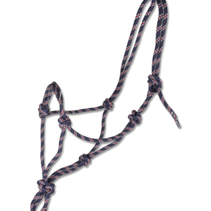 LICOL ETHOLOGIQUE WALDHAUSEN