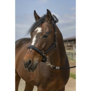 LICOL EQUITHEME NYLON STRASS