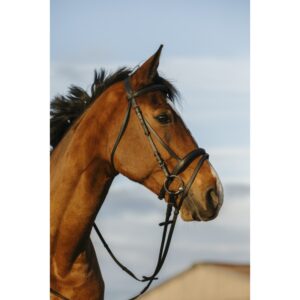 BRIDON RIDING WORLD DOUBLE MUSEROLLE COMBINE