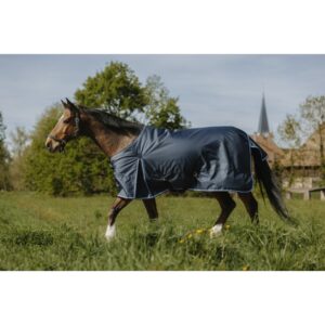 COUVERTURE RIDING WORLD 220G