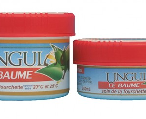 UNGULA BAUME FOURCHETTE