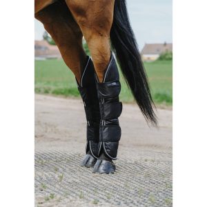 Guêtres de transport EQUITHÈME - TYREX 600D