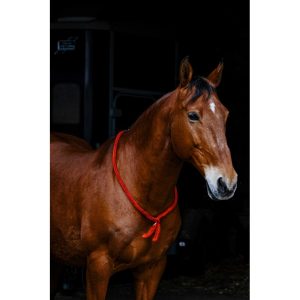 COLLIER ETHOLOGIQUE