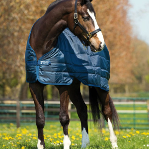 LINER AMIGO BRAVO HORSEWARE 200G