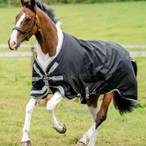 COUVERTURE HORSEWARE AMIGO 1200D - 100G