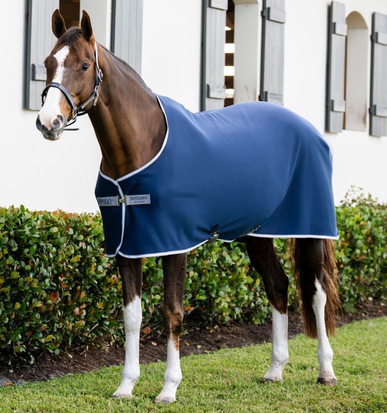 CHEMISE SECHANTE JERSEY COOLER - HORSEWARE AMIGO