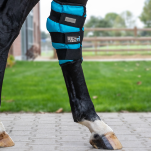GUETRES DE FROID POUR JARRET - WALDHAUSEN HEALTH +CARE