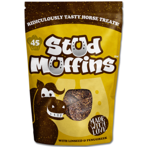 MUFFINS FRIANDISES POUR CHEVAUX