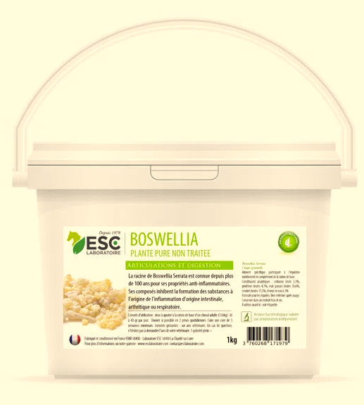 ESC LABORATOIRE - BOSWELLIA SERRATA